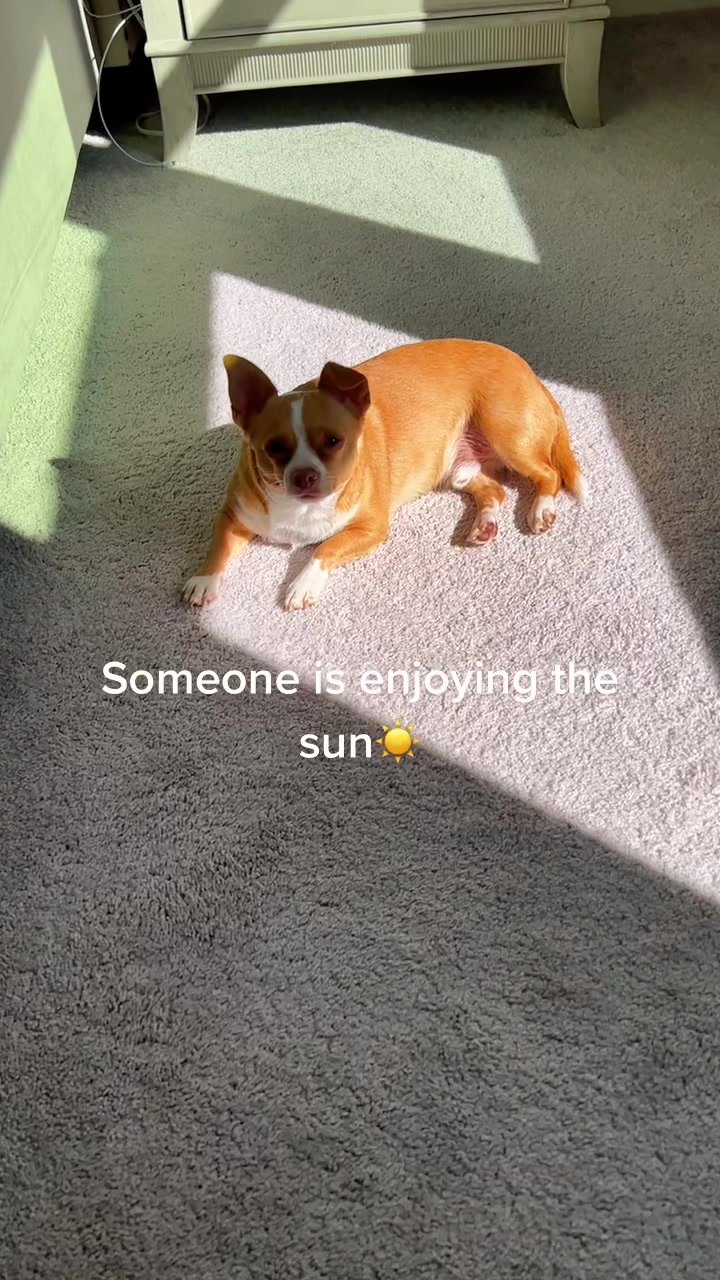 @kellysk