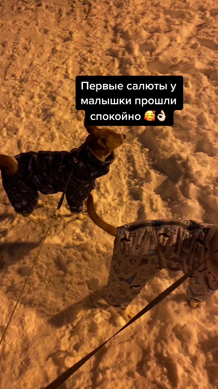 @Евгения Емельяненко