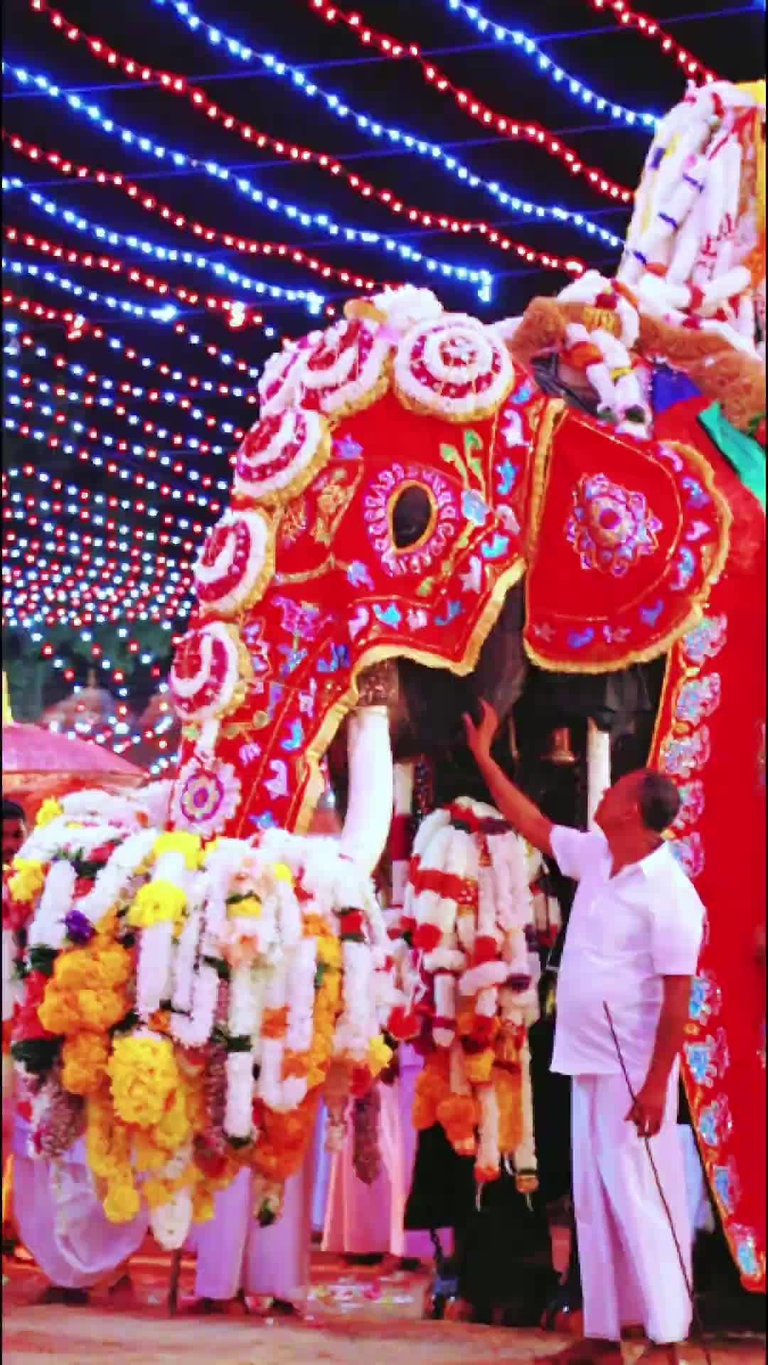 @Janith Jayamal (JJ)