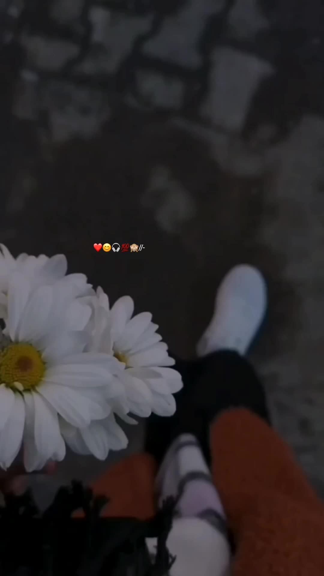 @✌️راجہ صاحب🔥