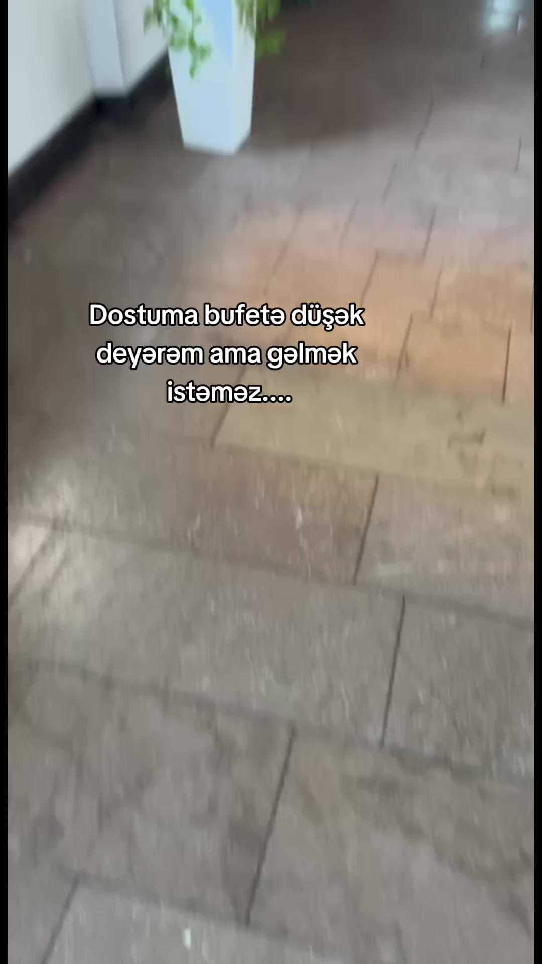 @bakirowss