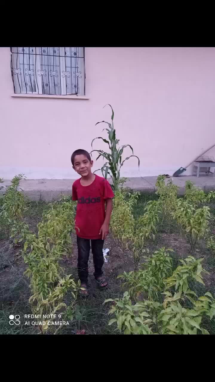 @tahir kalkan