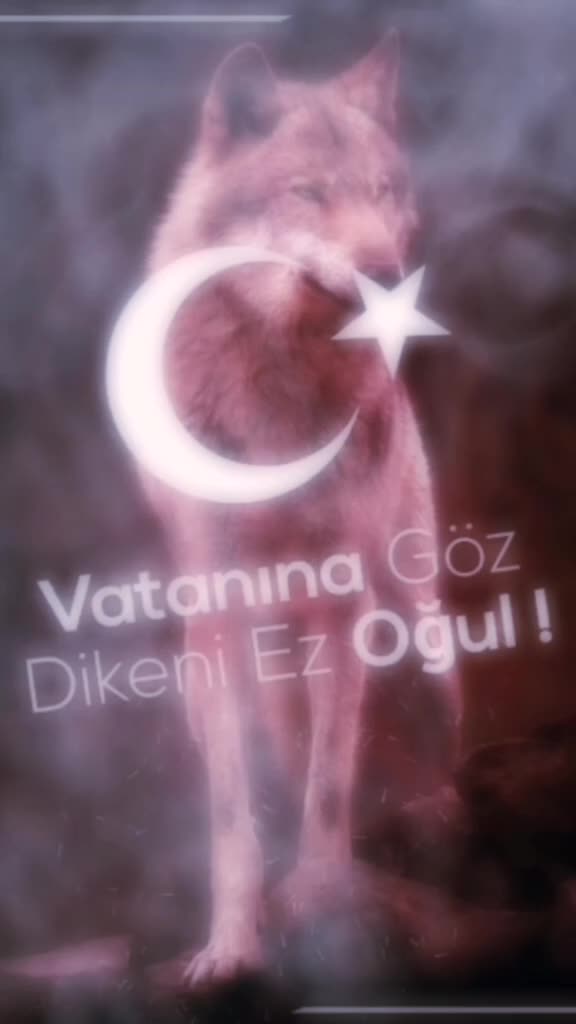 @cCc🇹🇷BOZKURT🇹🇷cCc