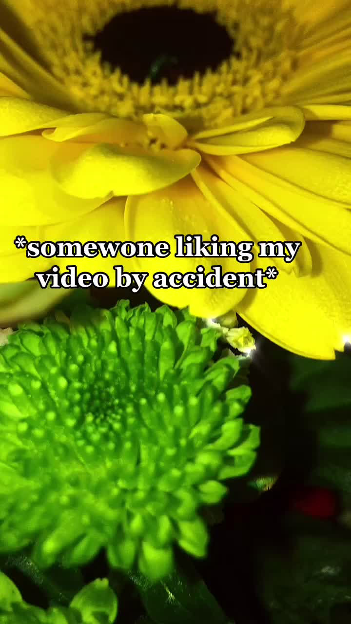 @𝙵𝚘𝚕𝚕𝚘𝚠𝚒𝚗𝚐 𝟸 𝚏𝚊𝚜𝚝