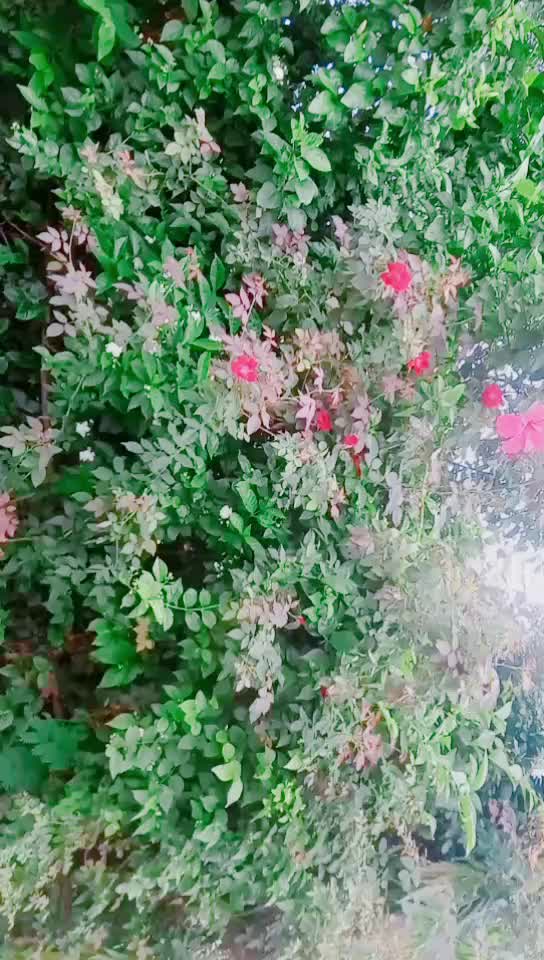 @Bindu sahu