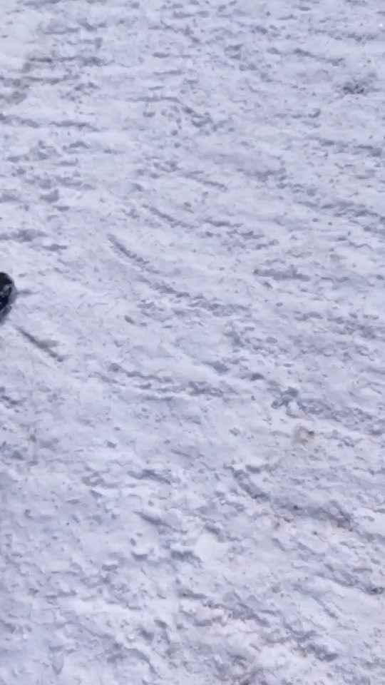 @sajeer_ahemmed