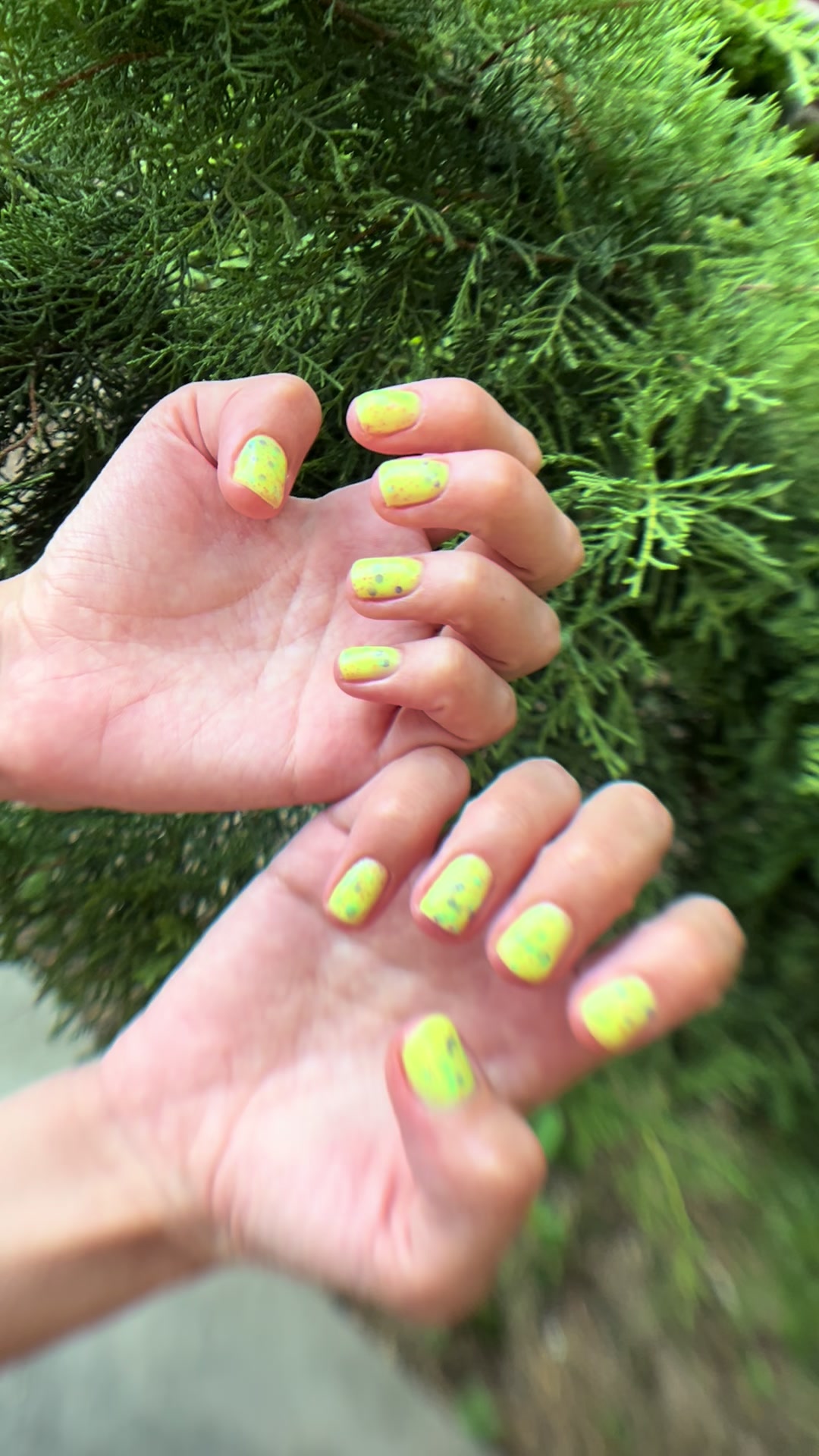 @russianclaws