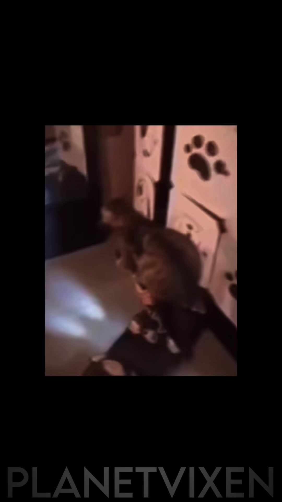 @𝒗𝒆𝒏𝒖𝒔