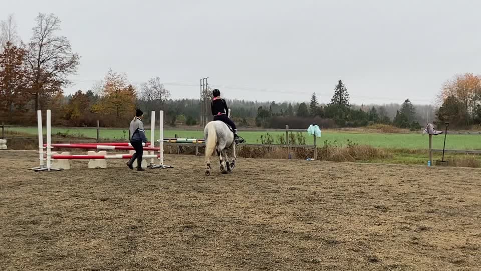 @🏇Ryttare🏇