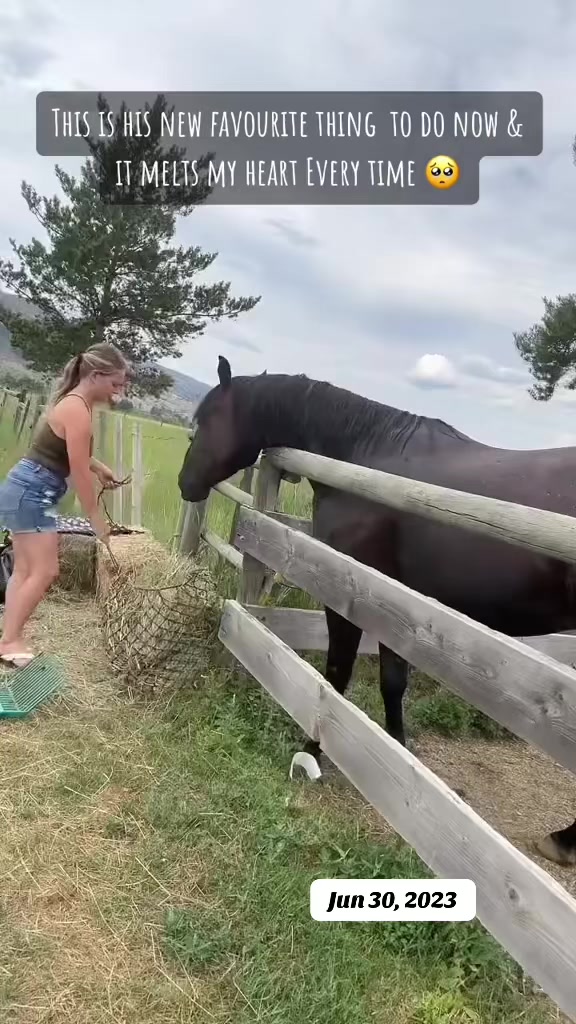 @Rudnik the Roan