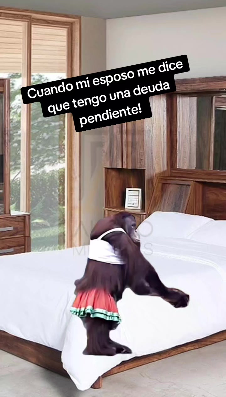 @Guadalupe. 0311