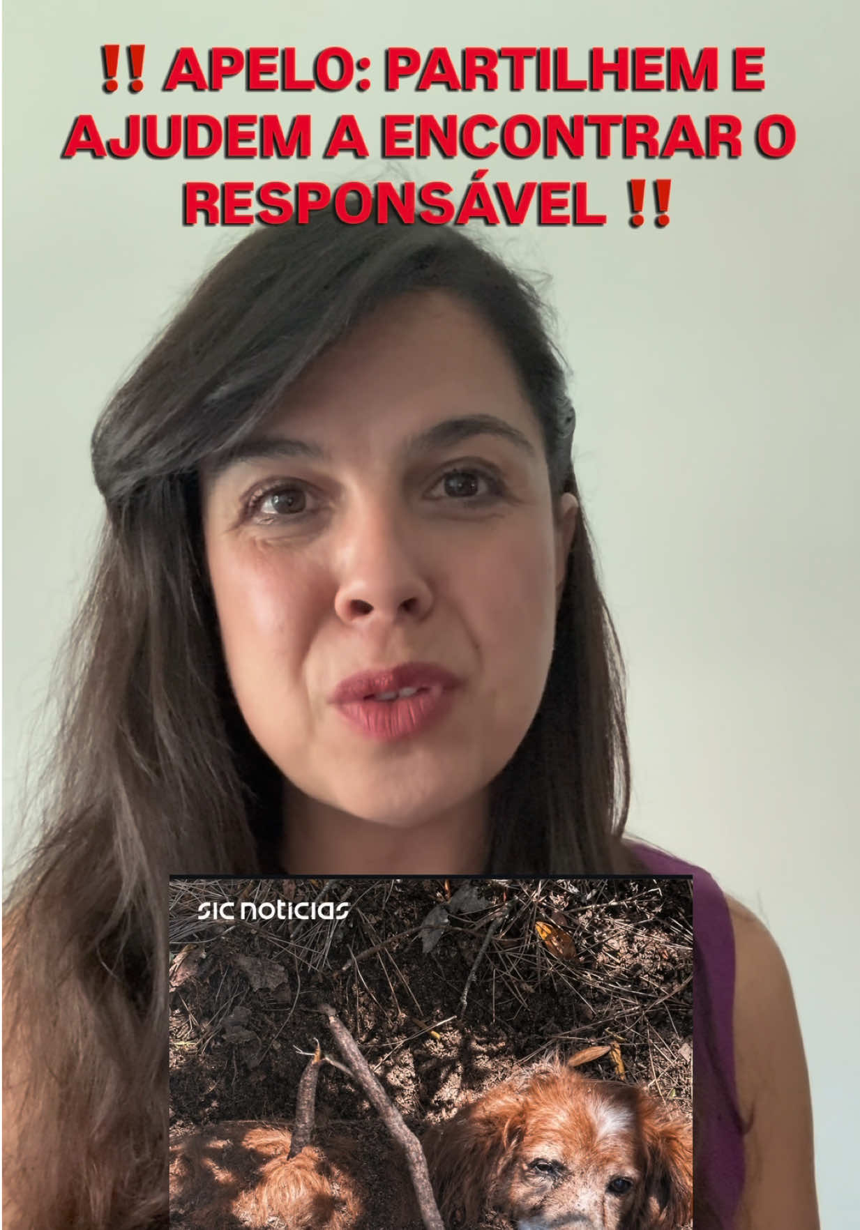 @Inês Sousa Real