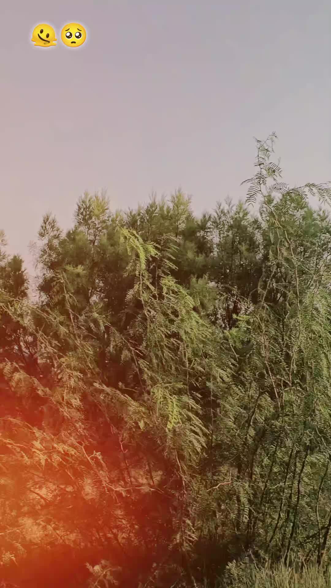 @༆☆جٹ(منڈی) آلہ☆