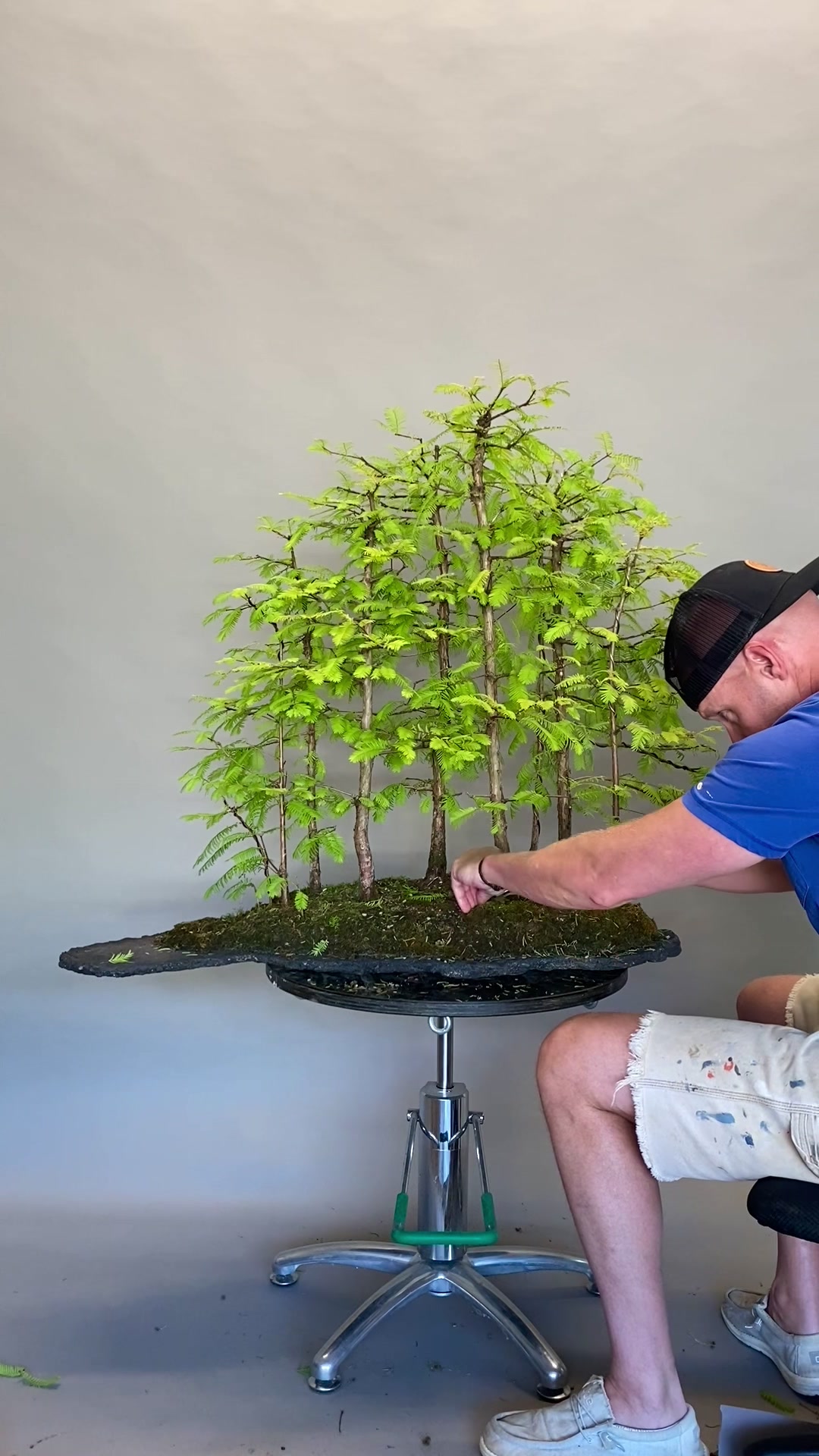 @Bonsai Movement