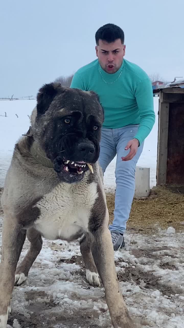 @Emre Türkoğlu