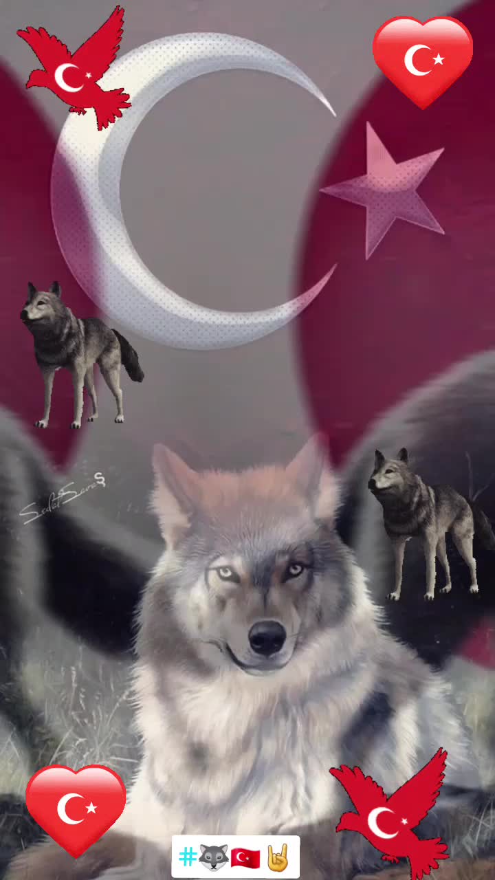 @🐺🇹🇷🤘BOZKURT ASENA🐺🇹🇷🤘