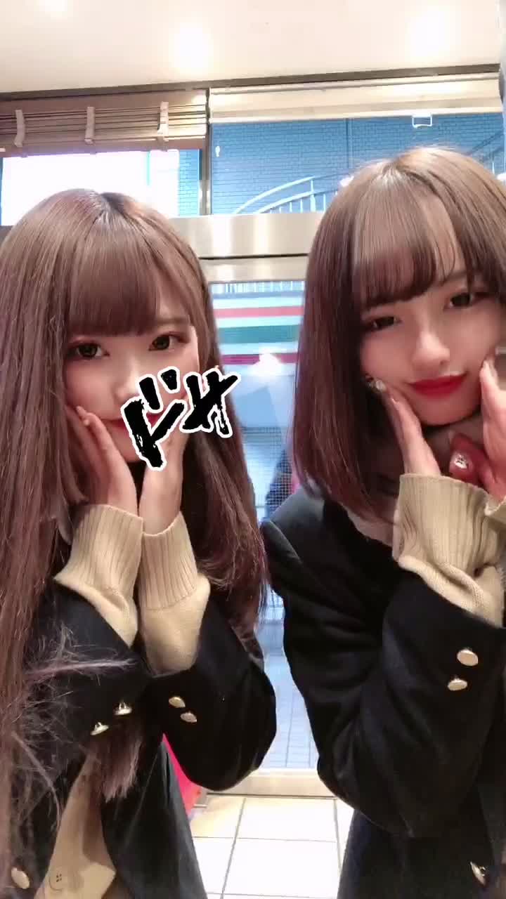 @さくちむ(旧)