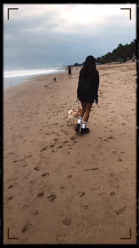 @Tita Sahara