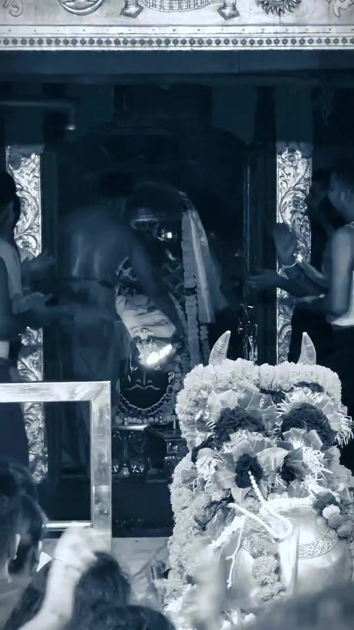 @๐ธ๐๐๐๐๐๐ ๐ญ๐๐๐๐ เฅ๐ฑ
