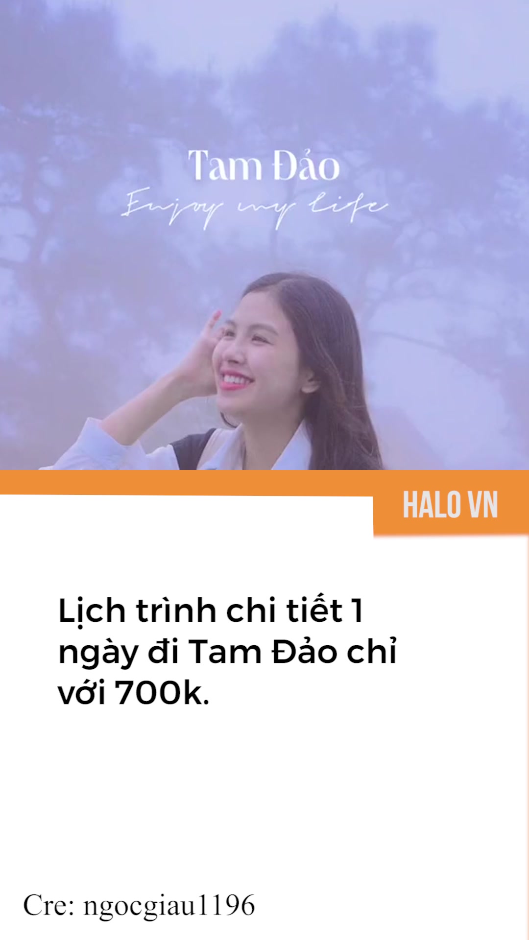 @Halo Vietnam