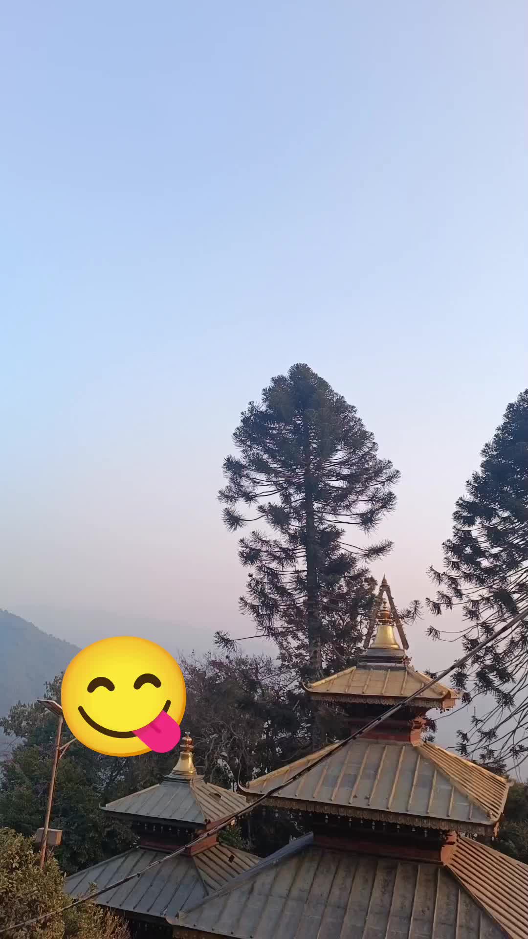 @Linathapa0001