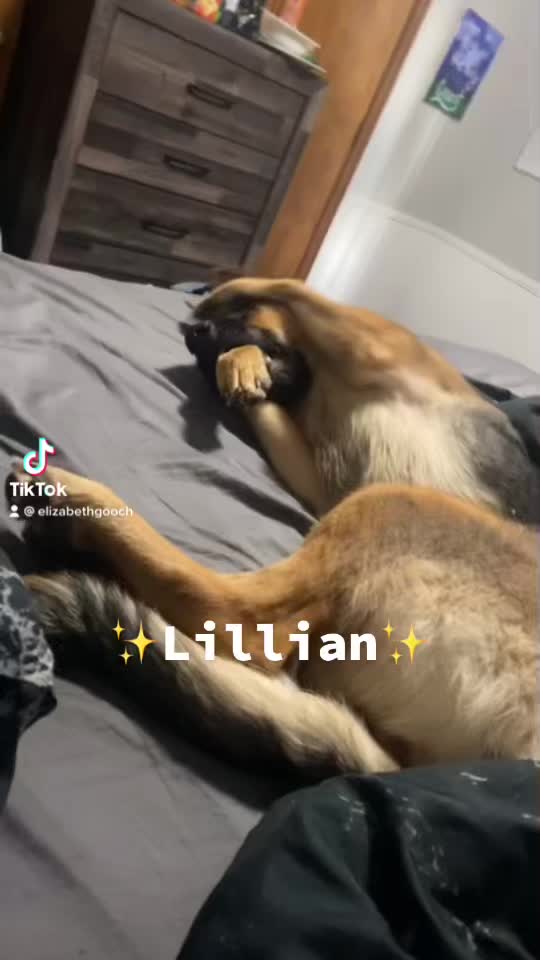 @elizabethc203