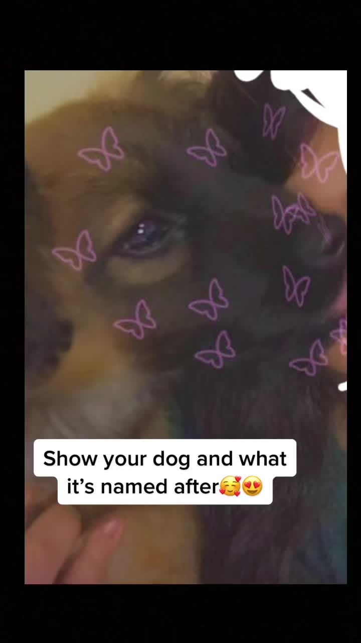 @💞tiktok thingss💞