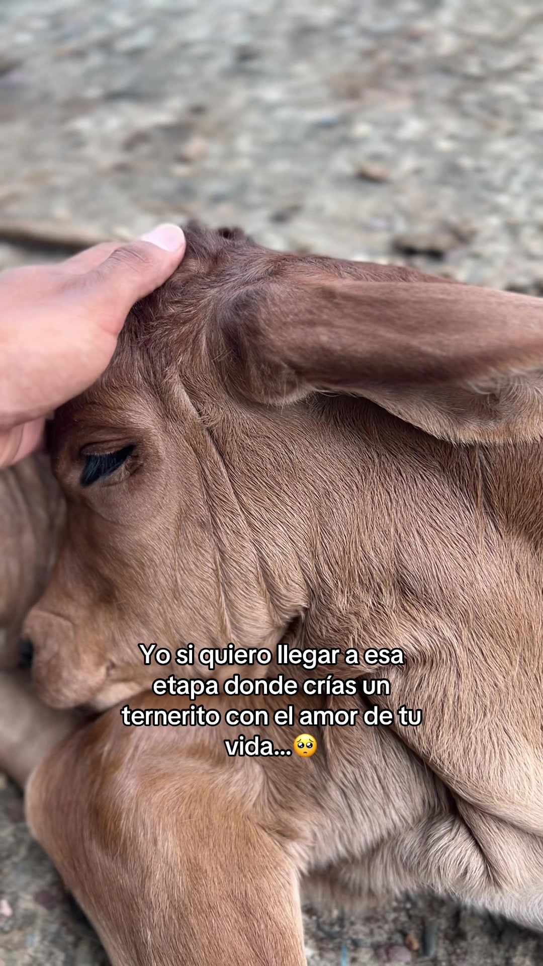 @Manuel Perez