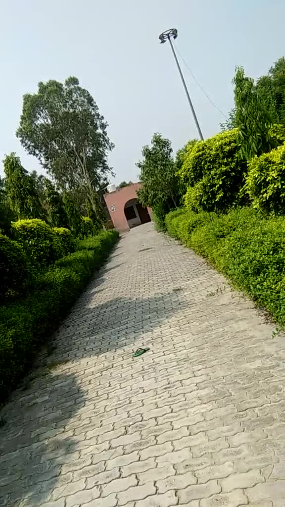 @Bhardwaj