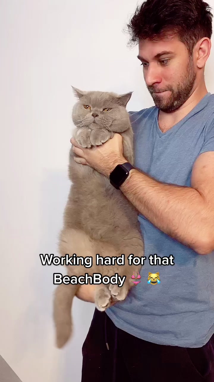 @DodoTheCat 😻
