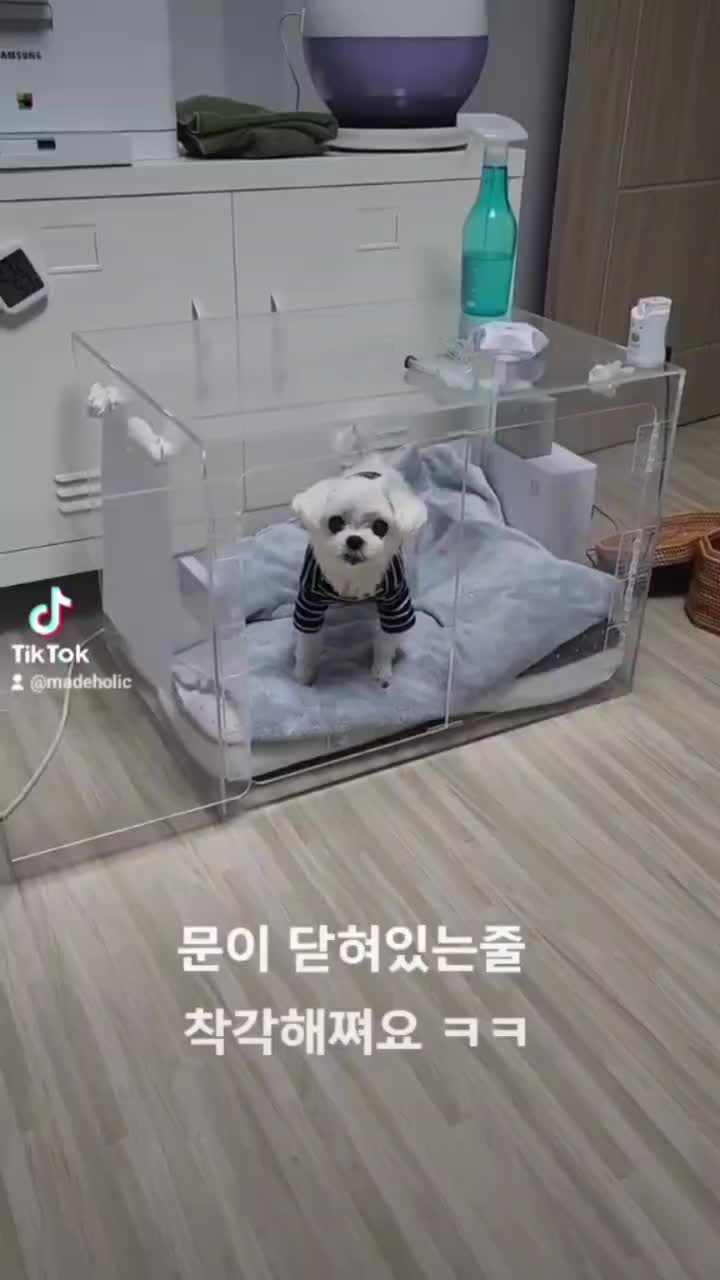 @초롱맘