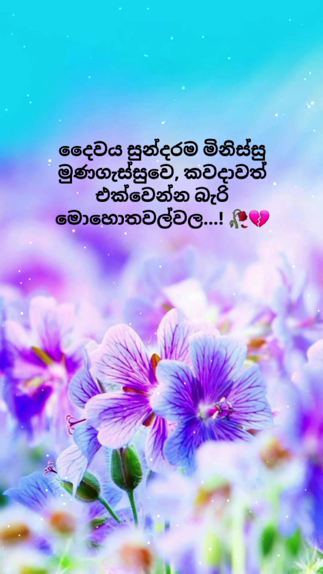 @Mashi