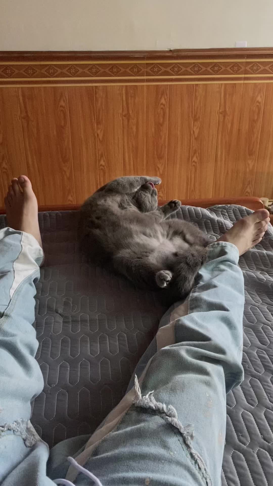 @Tuanminh202