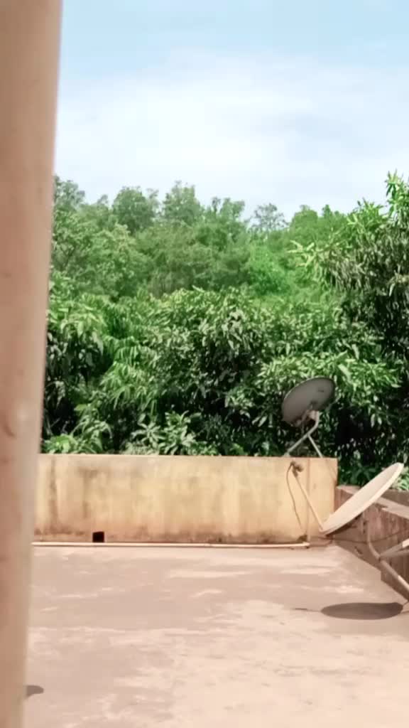 @Kumar kartik1143
