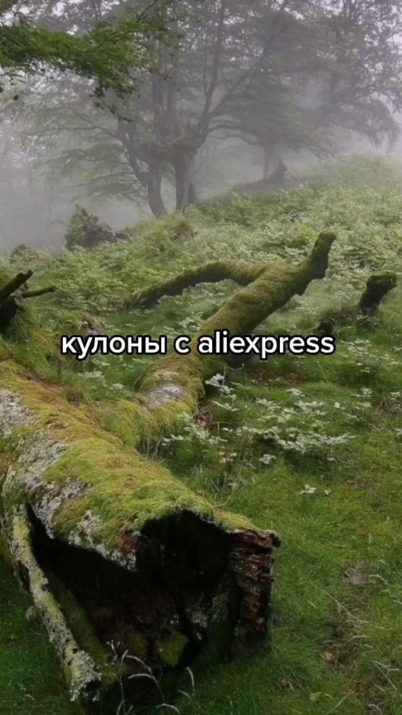 @✨уютное местечко✨