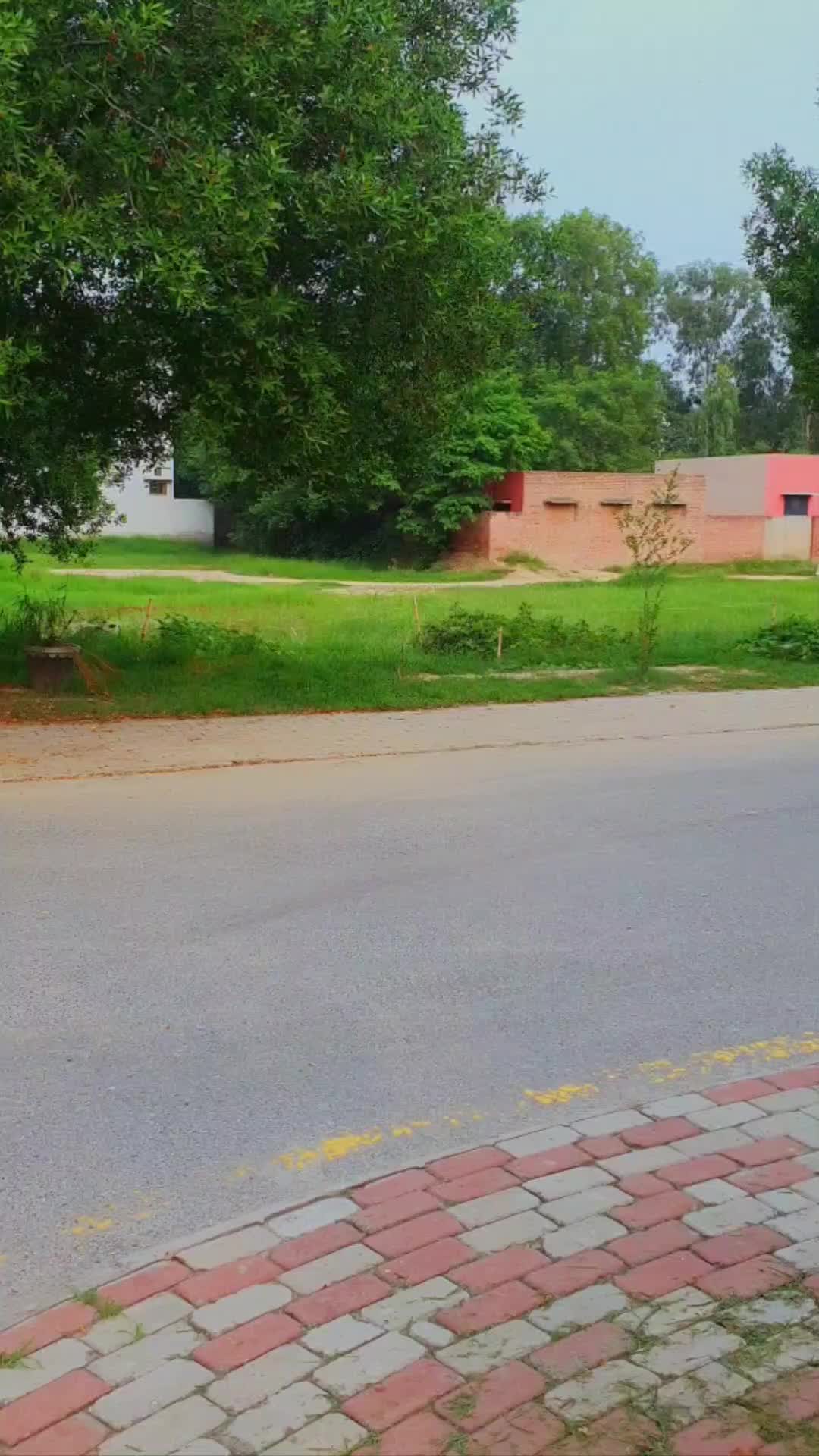 @پنجاب☘️🎋🌿