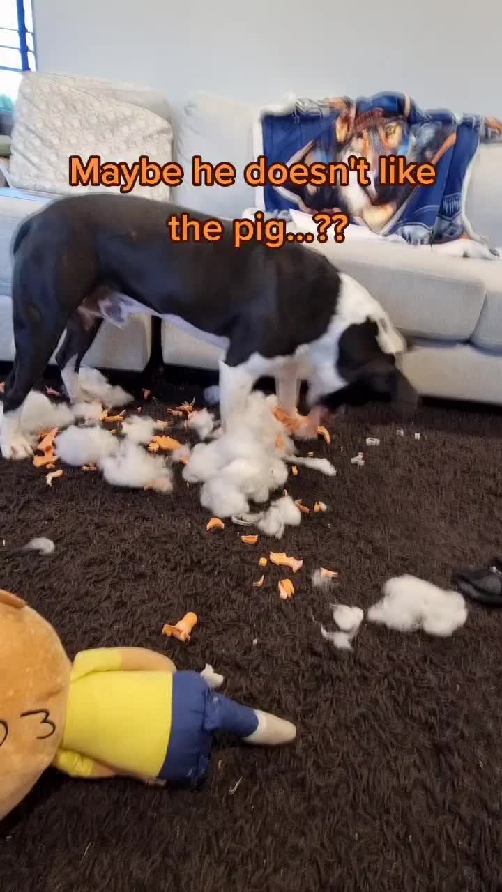 @Puppa Mumma