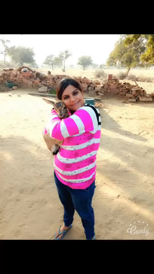 @sharda