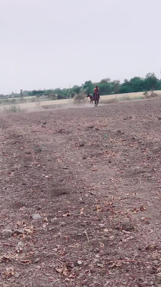 @jayrajsinh_7007