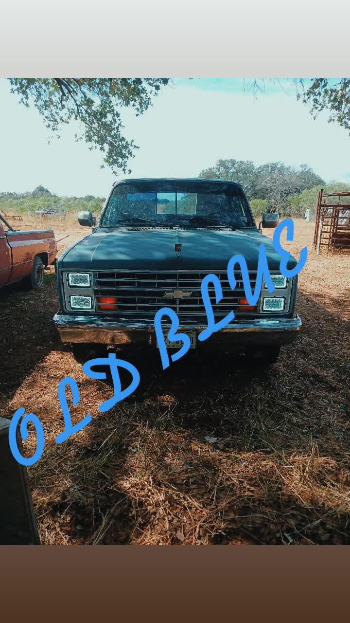 @old blue