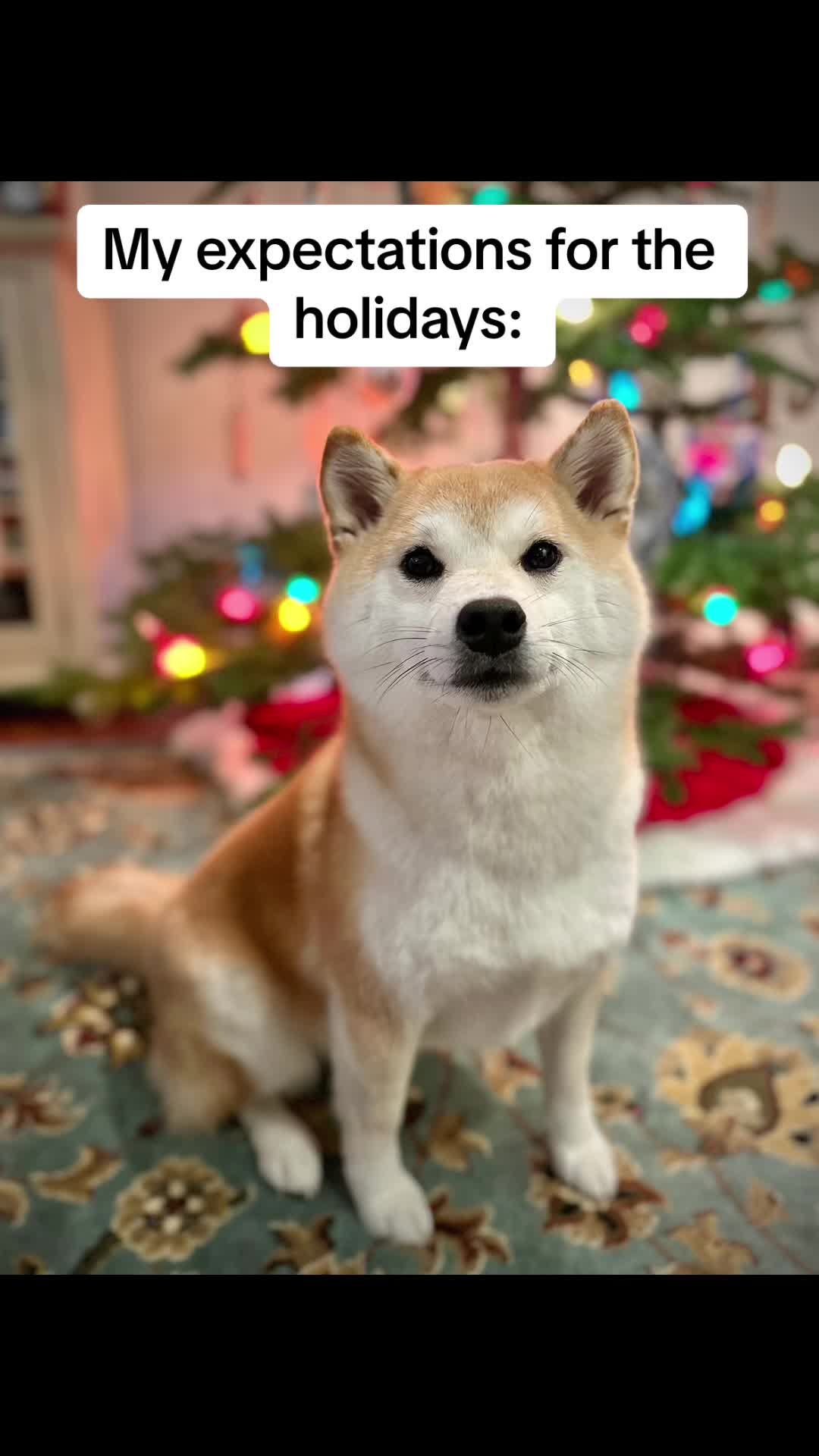 @Mochi