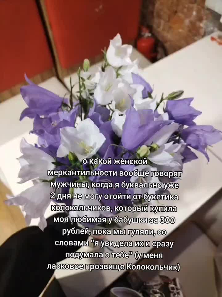 @electroann