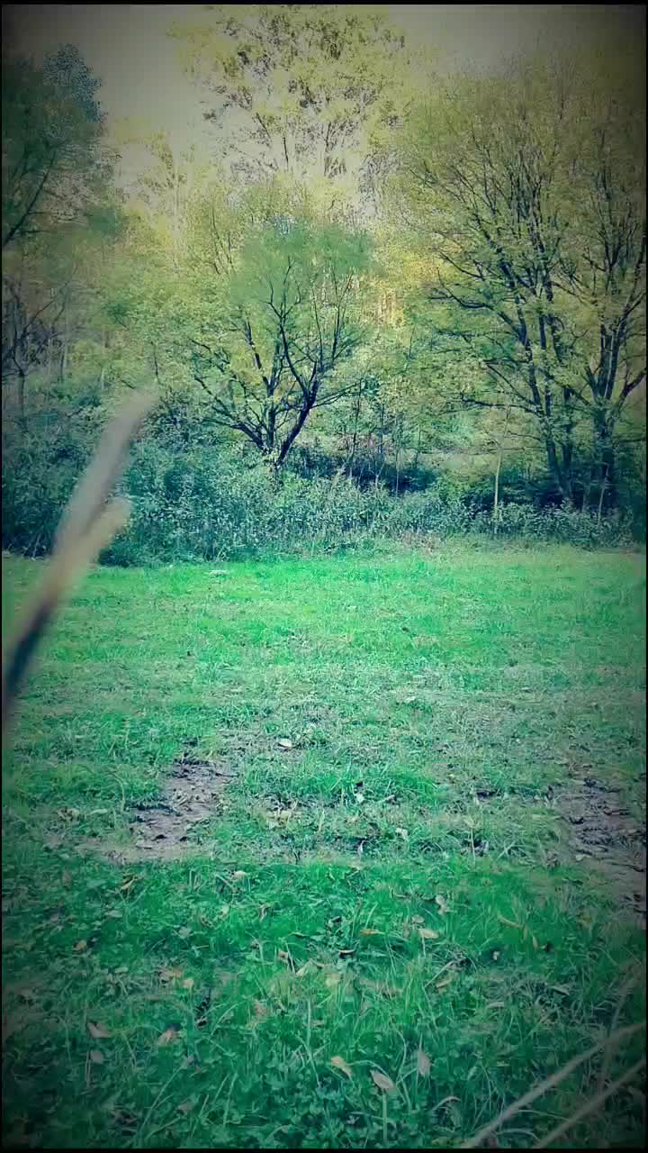 @Kaden Rexrode
