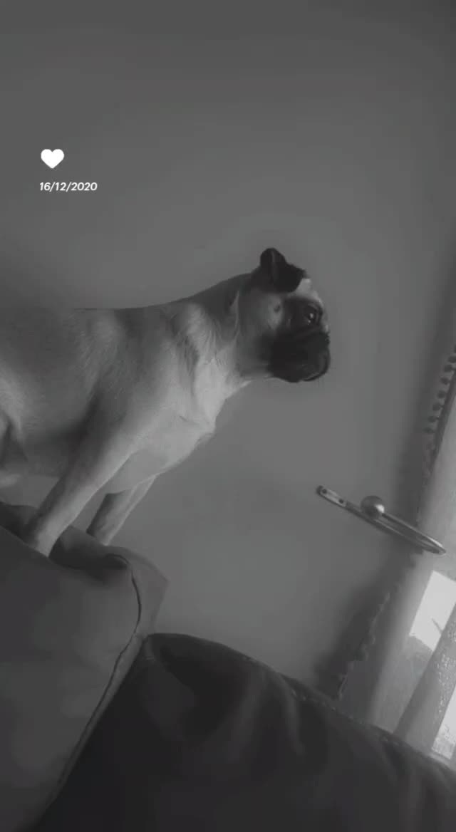 @T