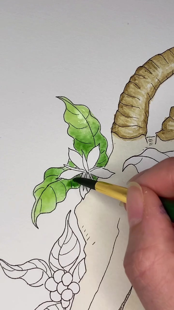 @poptortstudio