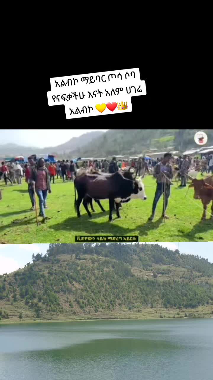 @Ronaldo CR7 king๐ต๐ธ๐ต๐น๐๐๐ช