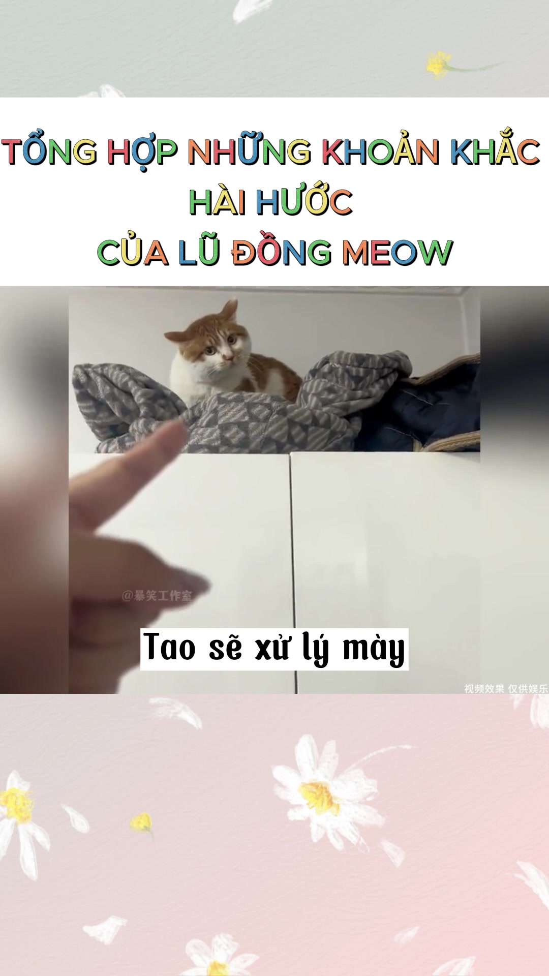 @Y&ecirc;u th&uacute; cưng