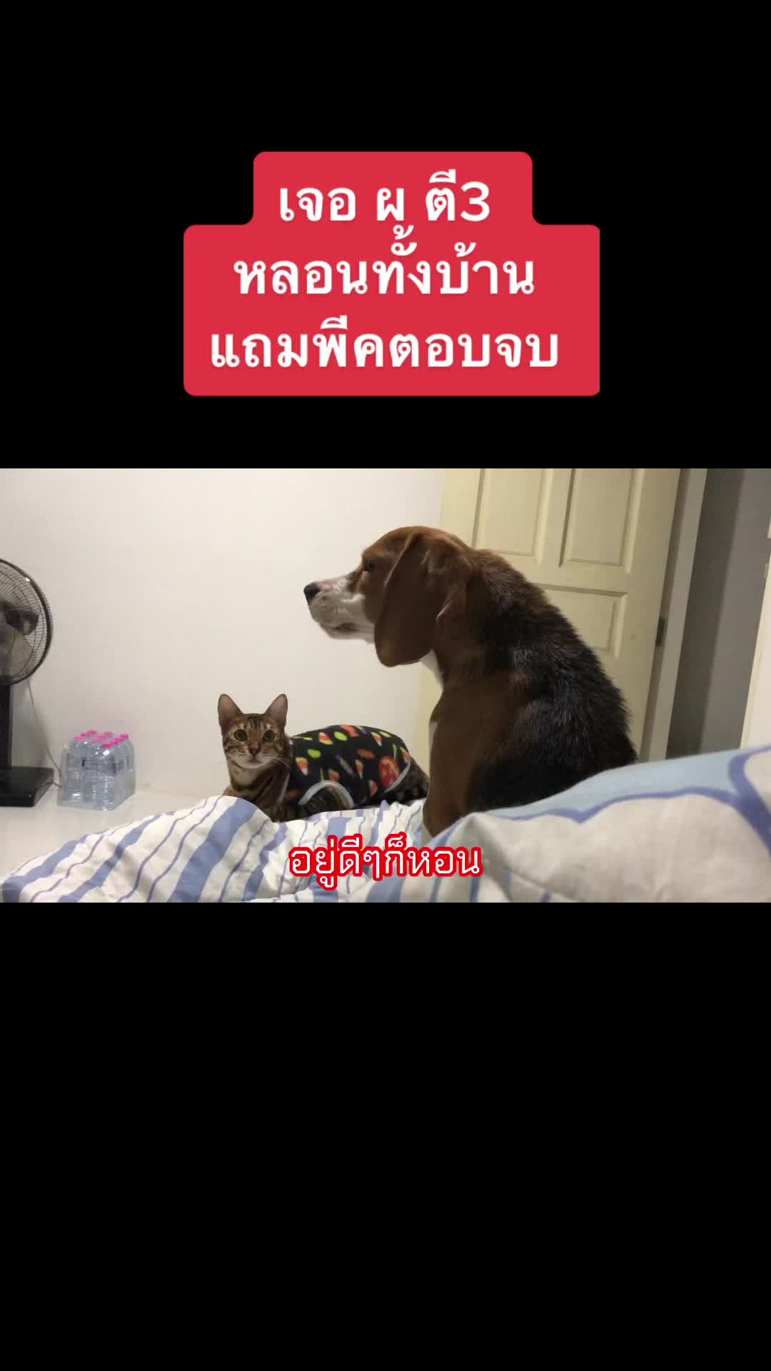 @I Mไอ้เอ็มวัดลาด