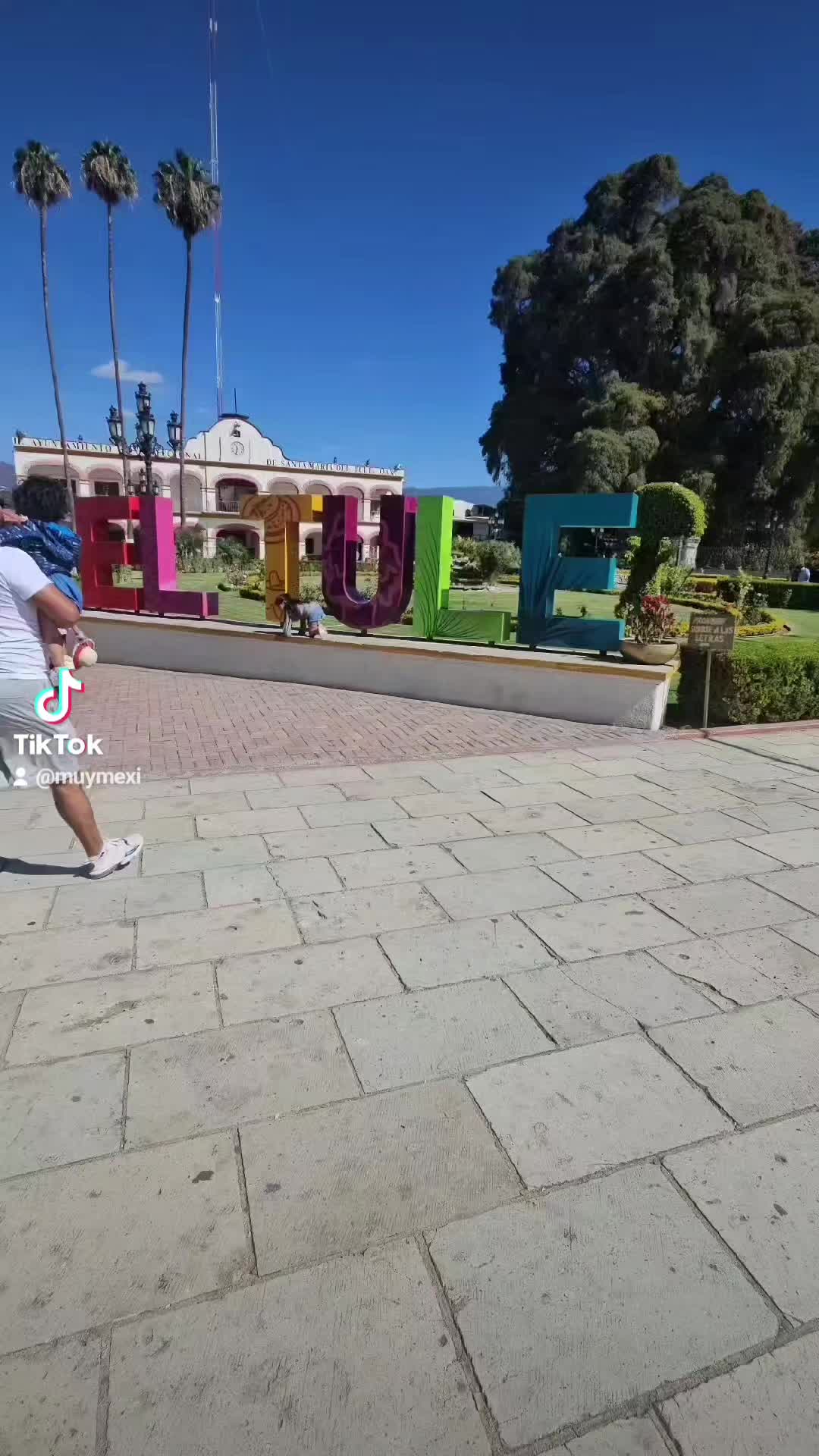 @Maria Estrada Valenzuela