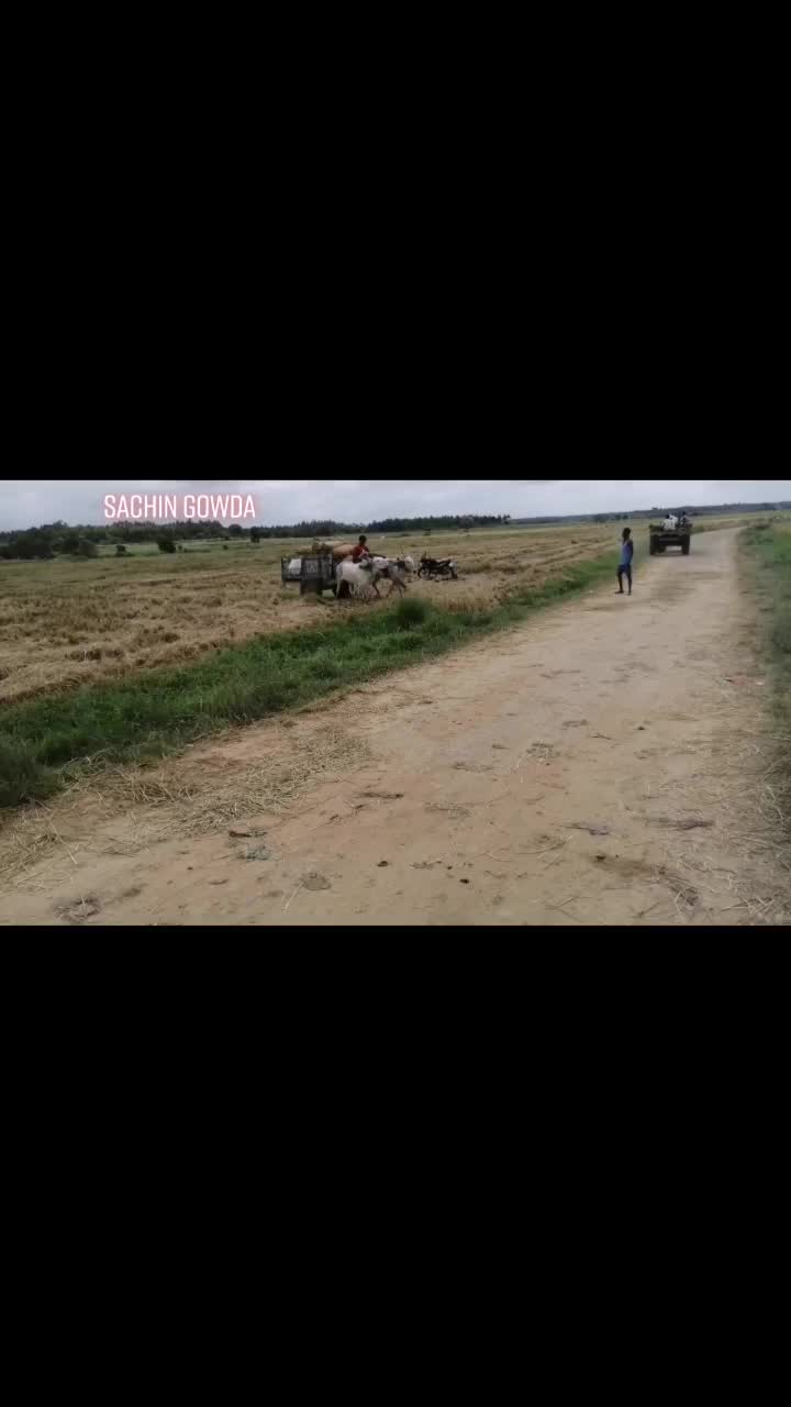 @🐂Sachin8453847757🐂